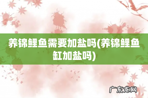 养锦鲤鱼缸加盐吗 养锦鲤鱼需要加盐吗
