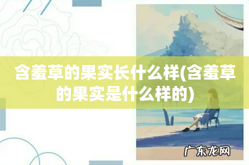 含羞草的果实是什么样的 含羞草的果实长什么样