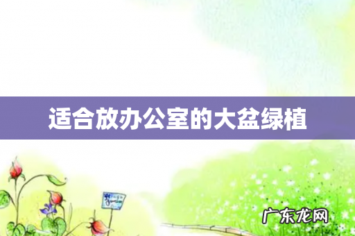 适合放办公室的大盆绿植