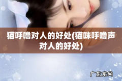 猫咪呼噜声对人的好处 猫呼噜对人的好处