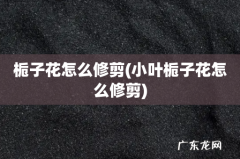 小叶栀子花怎么修剪 栀子花怎么修剪