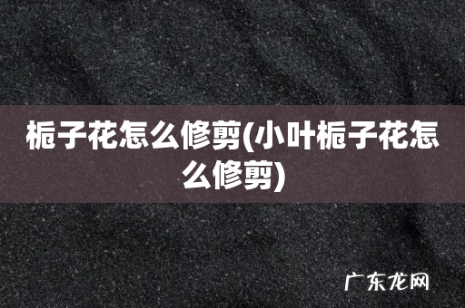 小叶栀子花怎么修剪 栀子花怎么修剪