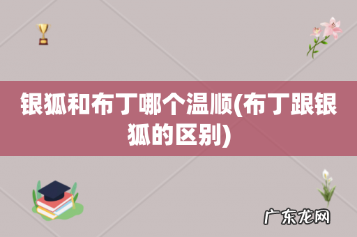 布丁跟银狐的区别 银狐和布丁哪个温顺