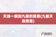 九眼天珠寓意 天珠一眼到九眼的寓意