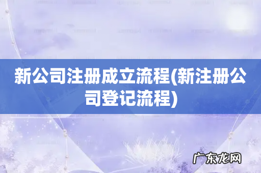 新注册公司登记流程 新公司注册成立流程