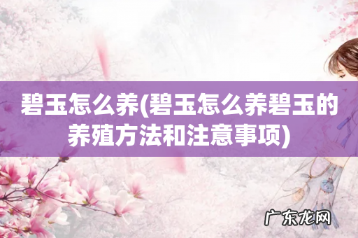 碧玉怎么养碧玉的养殖方法和注意事项 碧玉怎么养