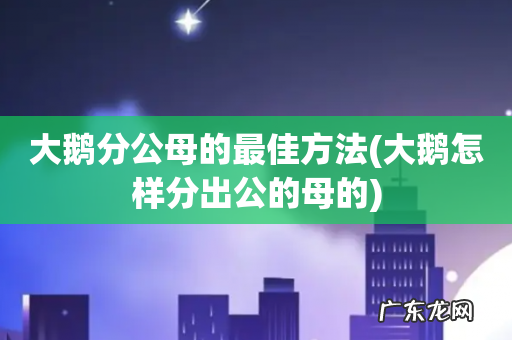 大鹅怎样分出公的母的 大鹅分公母的最佳方法