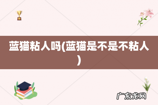 蓝猫是不是不粘人 蓝猫粘人吗