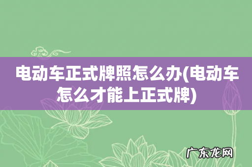 电动车怎么才能上正式牌 电动车正式牌照怎么办