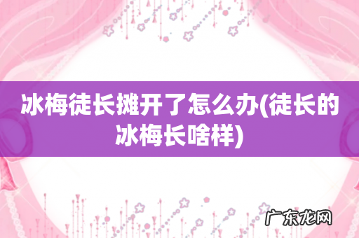 徒长的冰梅长啥样 冰梅徒长摊开了怎么办