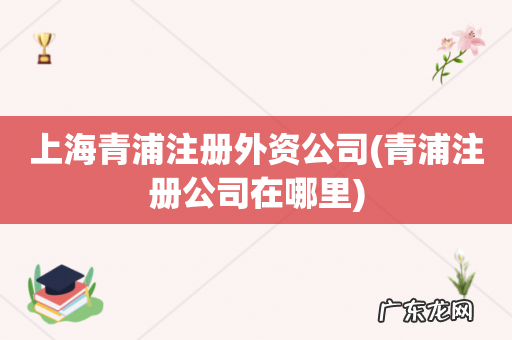 青浦注册公司在哪里 上海青浦注册外资公司