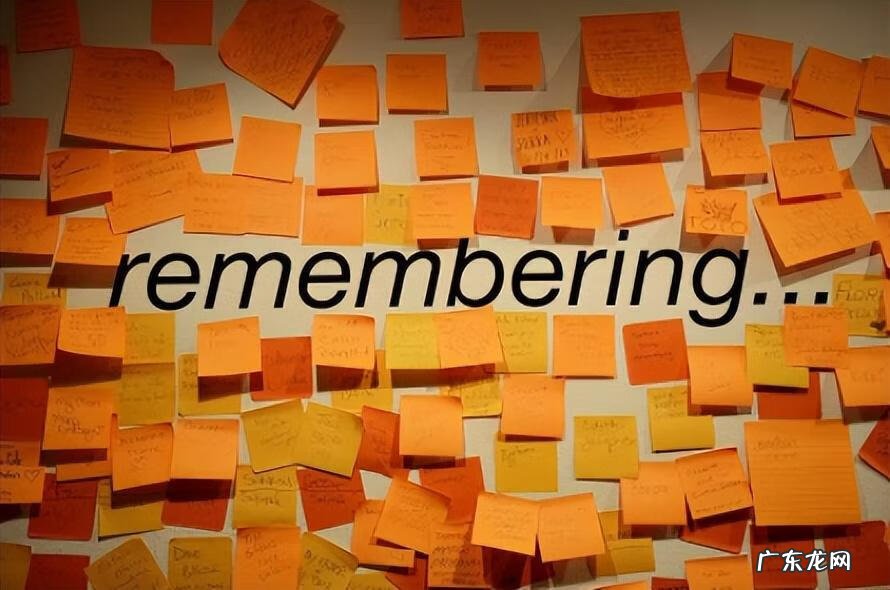 记忆力减退跟什么有关系 导致记忆力减退的原因