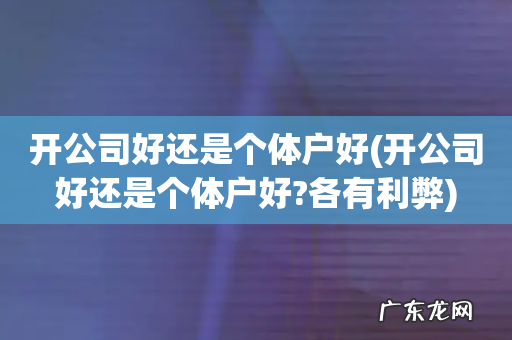 开公司好还是个体户好?各有利弊 开公司好还是个体户好