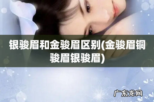 金骏眉铜骏眉银骏眉 银骏眉和金骏眉区别