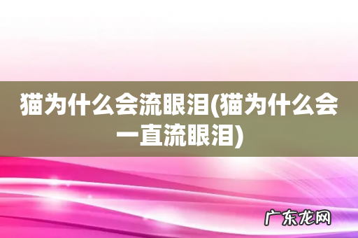 猫为什么会一直流眼泪 猫为什么会流眼泪