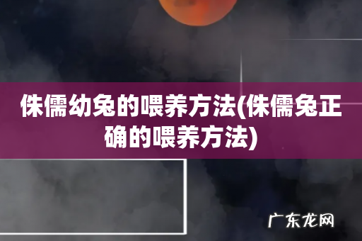 侏儒兔正确的喂养方法 侏儒幼兔的喂养方法