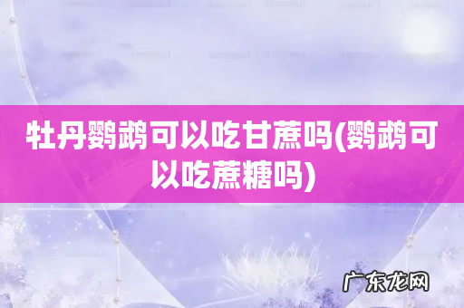 鹦鹉可以吃蔗糖吗 牡丹鹦鹉可以吃甘蔗吗