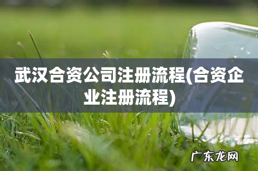 合资企业注册流程 武汉合资公司注册流程