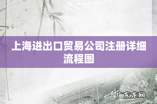 上海进出口贸易公司注册详细流程图