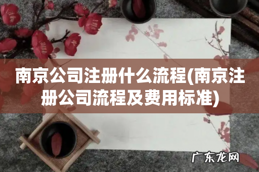 南京注册公司流程及费用标准 南京公司注册什么流程