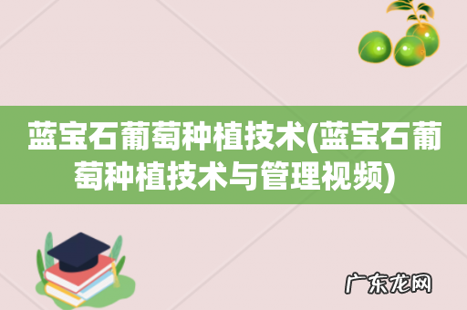 蓝宝石葡萄种植技术与管理视频 蓝宝石葡萄种植技术