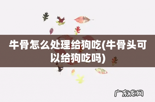 牛骨头可以给狗吃吗 牛骨怎么处理给狗吃