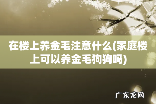 家庭楼上可以养金毛狗狗吗 在楼上养金毛注意什么