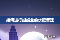 如何进行蝴蝶兰的水肥管理