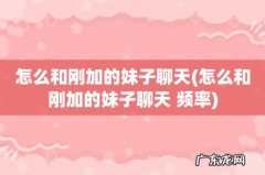 怎么和刚加的妹子聊天 频率 怎么和刚加的妹子聊天