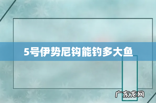 5号伊势尼钩能钓多大鱼