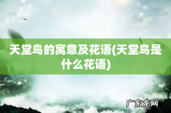 天堂鸟是什么花语 天堂鸟的寓意及花语