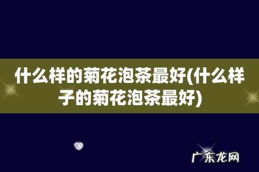什么样子的菊花泡茶最好 什么样的菊花泡茶最好