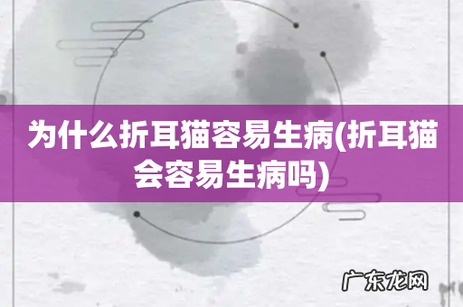 折耳猫会容易生病吗 为什么折耳猫容易生病
