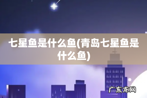 青岛七星鱼是什么鱼 七星鱼是什么鱼
