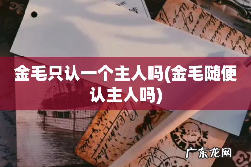金毛随便认主人吗 金毛只认一个主人吗