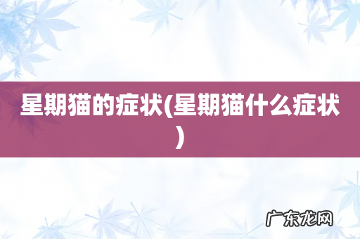 星期猫什么症状 星期猫的症状