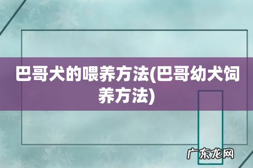 巴哥幼犬饲养方法 巴哥犬的喂养方法