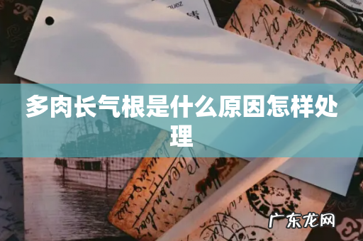 多肉长气根是什么原因怎样处理
