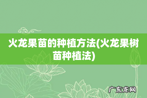 火龙果树苗种植法 火龙果苗的种植方法