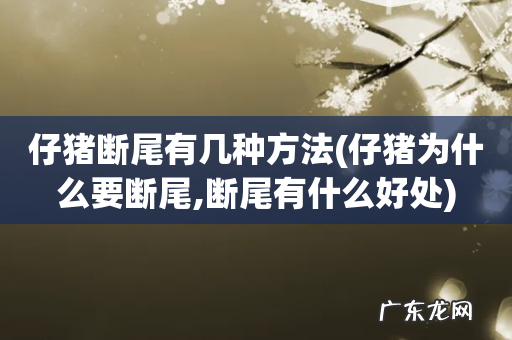 仔猪为什么要断尾,断尾有什么好处 仔猪断尾有几种方法