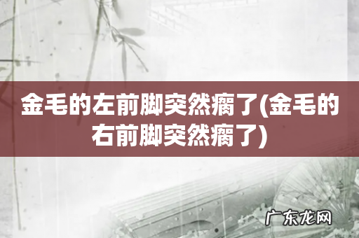 金毛的右前脚突然瘸了 金毛的左前脚突然瘸了