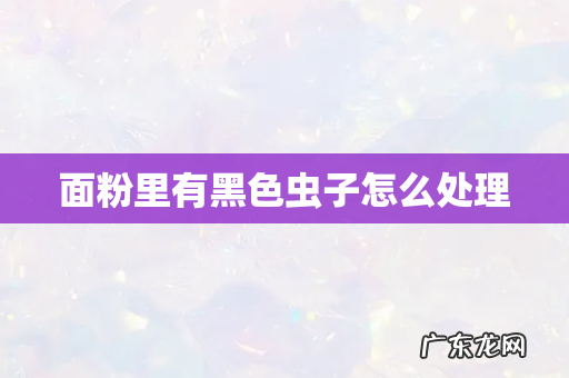 面粉里有黑色虫子怎么处理
