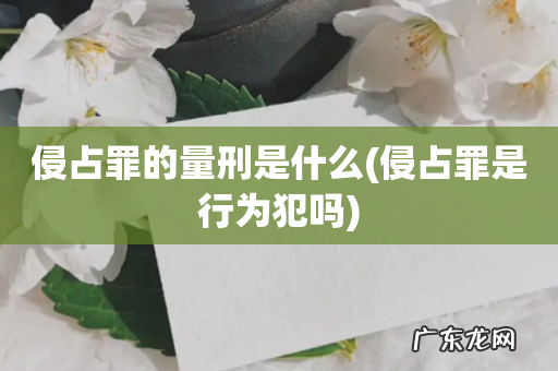 侵占罪是行为犯吗 侵占罪的量刑是什么