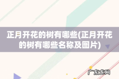 正月开花的树有哪些名称及图片 正月开花的树有哪些