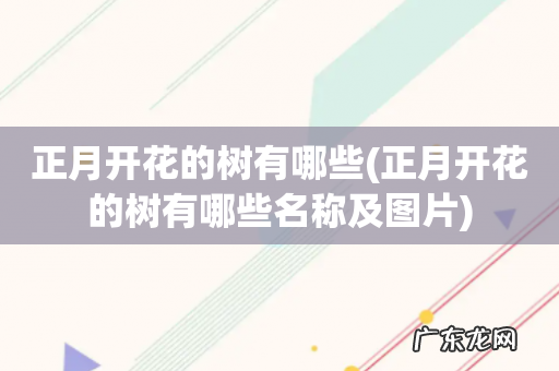 正月开花的树有哪些名称及图片 正月开花的树有哪些