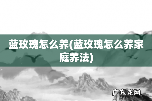 蓝玫瑰怎么养家庭养法 蓝玫瑰怎么养