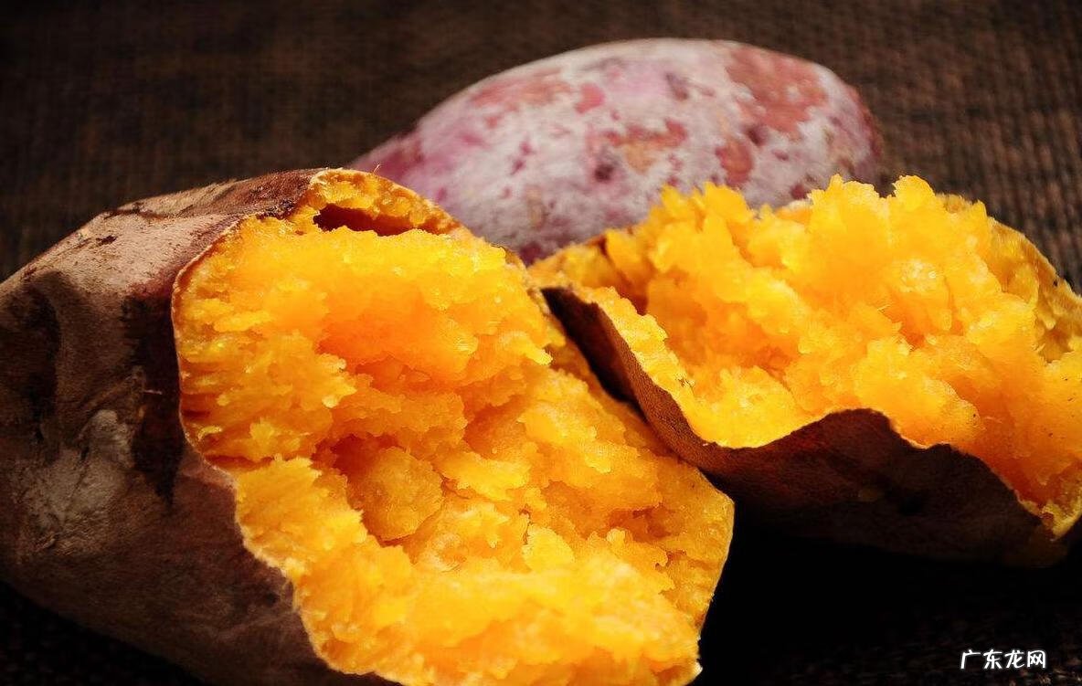 第二课原始农耕生活ppt课件 季风水田农业必修二电子课本