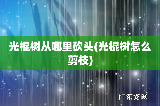 光棍树怎么剪枝 光棍树从哪里砍头