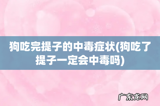 狗吃了提子一定会中毒吗 狗吃完提子的中毒症状