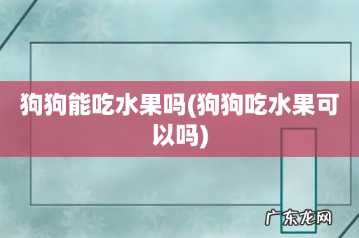 狗狗吃水果可以吗 狗狗能吃水果吗